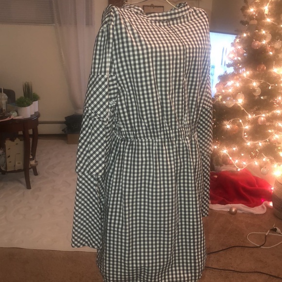 Walter Baker Gingham Plaid long sleeve dress - Picture 4 of 6